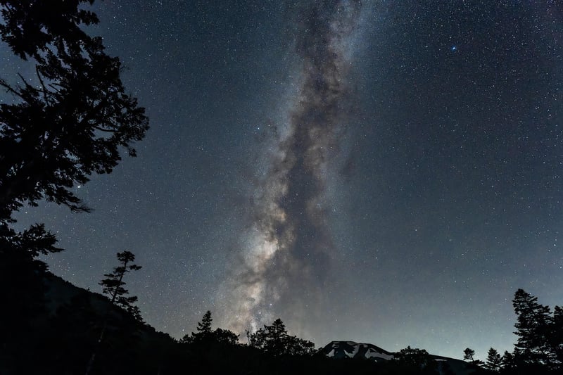 Garden at night under the stars